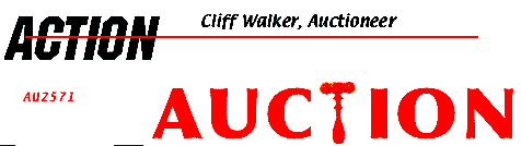 Action Auction Logo